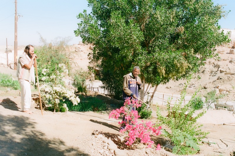 Islanders tending a garden of flowering trees